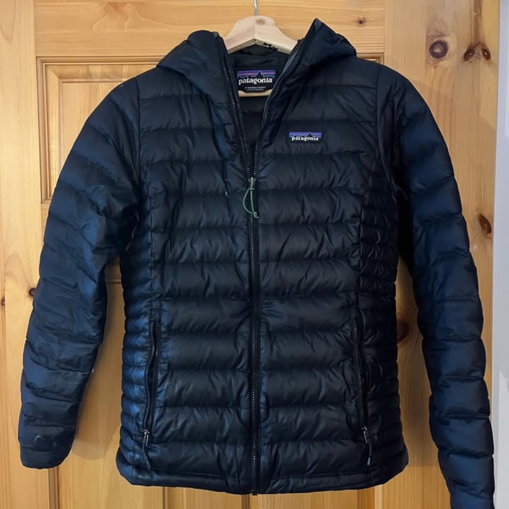 Patagonia Down Hoody